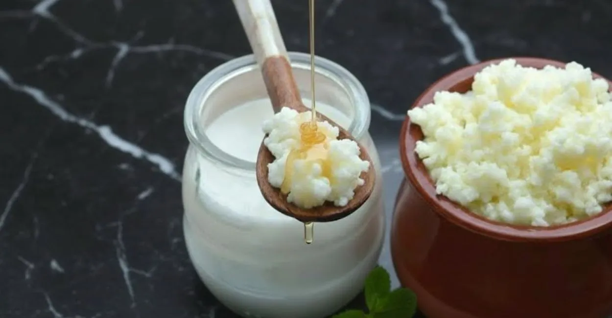 Kefir de Leite do Zero